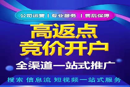 推广竞价策略解析：成功案例分享